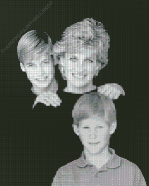 Prince William And Harry With Diana Diamond Paintings