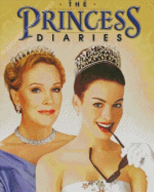 The Princess Diaries Film Poster Diamond Paintings