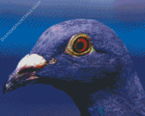 Purple Dove Head Diamond Paintings