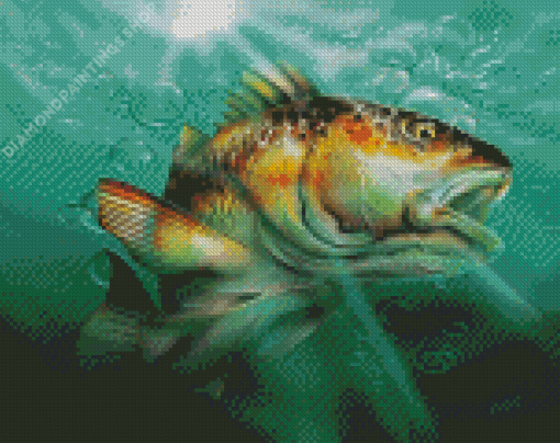 Red Drum Fish Diamond Paintings