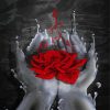 Red Rose And Hands Diamond Paintings