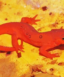 Red Spotted Newt Diamond Paintings