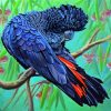 Red Tailed Black Cockatoo Bird Diamond Paintings