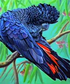 Red Tailed Black Cockatoo Bird Diamond Paintings