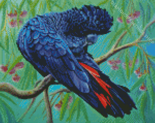 Red Tailed Black Cockatoo Bird Diamond Paintings