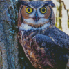 Screech Owl On Tree Diamond Paintings