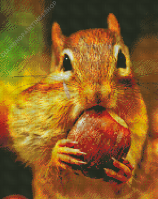 Squirrel Eating Acorn Diamond Paintings