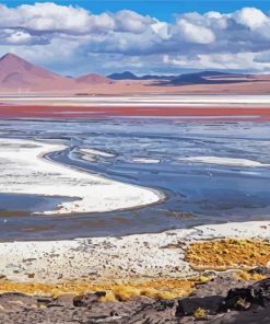 The Laguna Colorada Bolivia Diamond Paintings