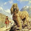 The Afghan Hound Dog Diamond Paintings