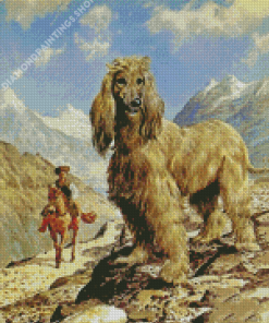 The Afghan Hound Dog Diamond Paintings