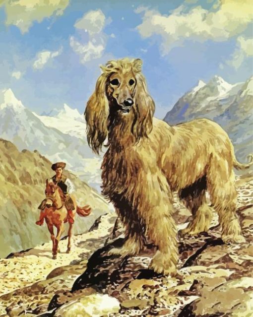 The Afghan Hound Dog Diamond Paintings