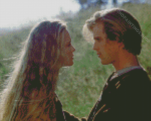 The Princess Bride Diamond Paintings