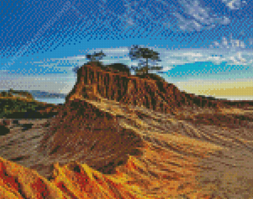 Torrey Pines Diamond Paintings