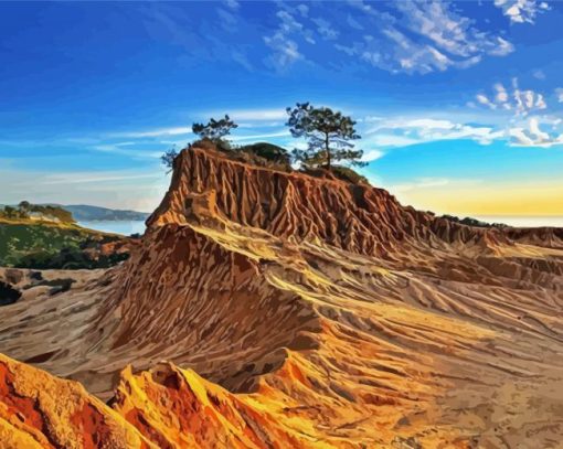 Torrey Pines Diamond Paintings