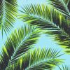 Tropical Palm Leaves Diamond Paintings