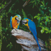 Two Parrots in Jungle Green With Blue Diamond Paintings