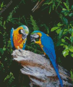 Two Parrots in Jungle Green With Blue Diamond Paintings