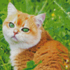 Adorable Orange Tabby Cat With Green Eyes Diamond Paintings