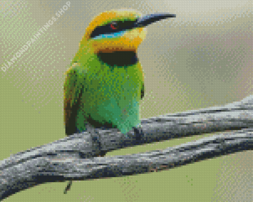 Aesthetic Bee Eater Diamond Paintings