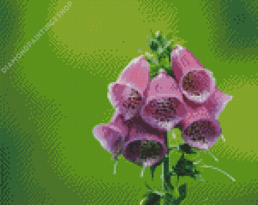 Aesthetic Foxglove Illustration Diamond Paintings