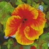 Aesthetic Orange Hibiscus Art Diamond Paintings