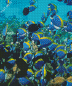 Maldives Fish School Diamond Paintings
