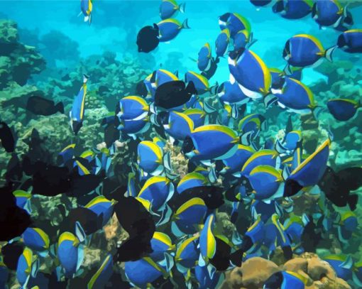 Maldives Fish School Diamond Paintings