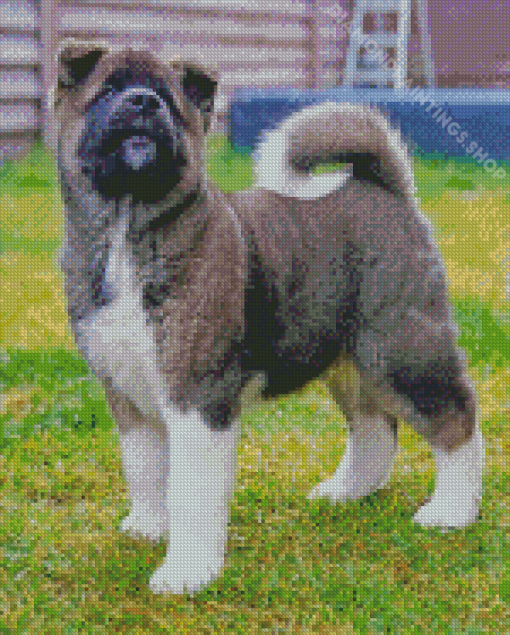 American Akita Puppy Dog Diamond Paintings