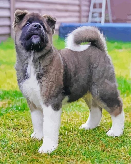 American Akita Puppy Dog Diamond Paintings