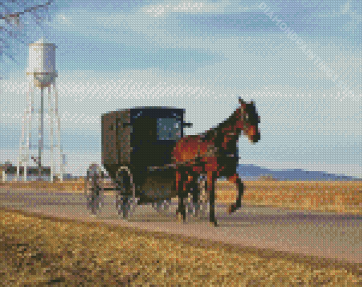 Aesthetic Amish Buggy Diamond Paintings