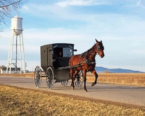 Aesthetic Amish Buggy Diamond Paintings