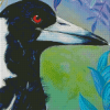 Australian Magpie Bird With Flowers Diamond Paintings
