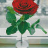 Beautiful Red Rose In A Vase Diamond Paintings
