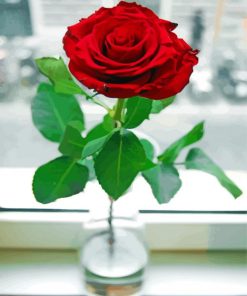 Beautiful Red Rose In A Vase Diamond Paintings