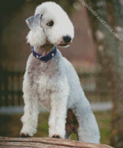 Bedlington Terrier Dog Diamond Paintings