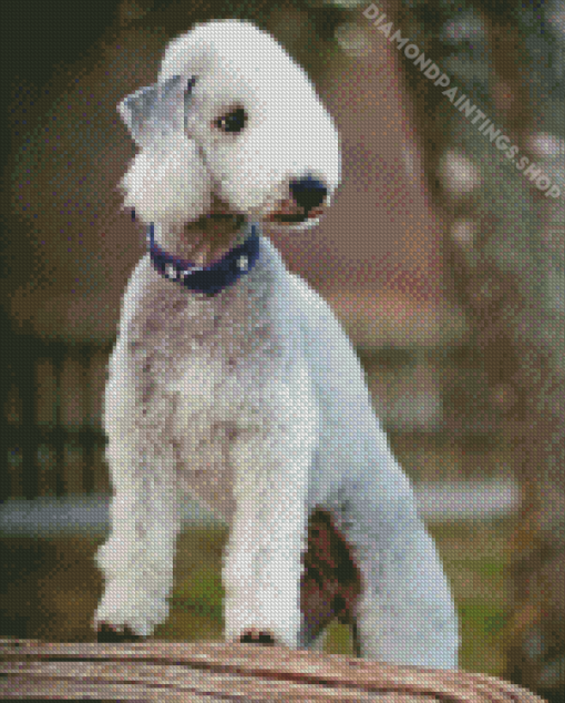 Bedlington Terrier Dog Diamond Paintings