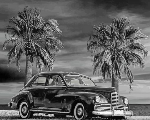 Black And White Palm Trees With Car Diamond Paintings
