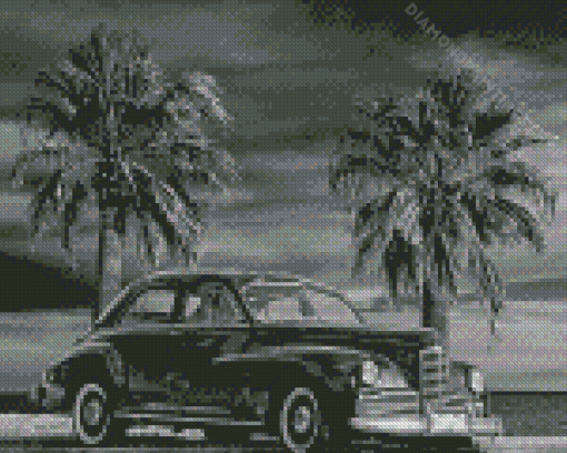 Black And White Palm Trees With Car Diamond Paintings