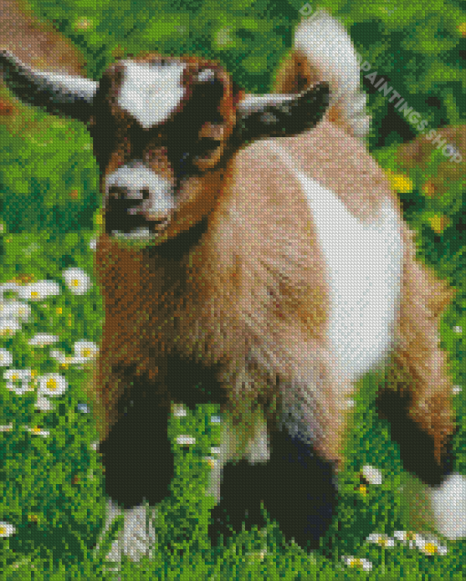 Brown Baby Goat Diamond Paintings