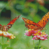 Brown Butterflies And Blooms Diamond Paintings