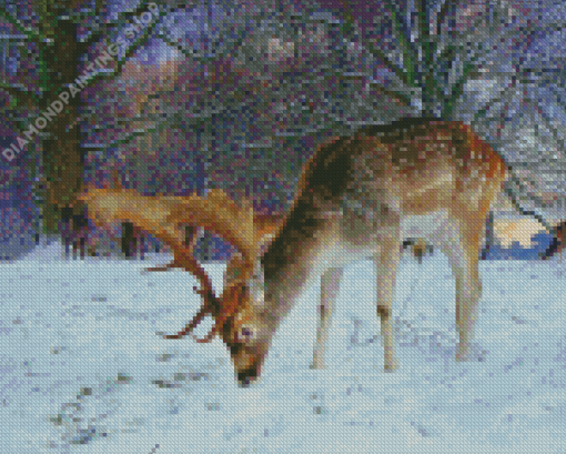 Buck Deer in Snow Diamond Paintings