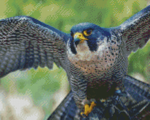 Cool Peregrine Falcon Illustration Diamond Paintings