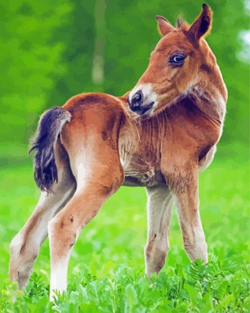 Adorable Horse Foal Diamond Paintings