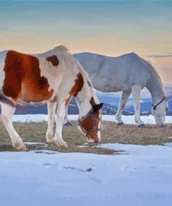 Adorable Winter Horses Diamond Paintings