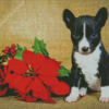 Puppy With Red Poinsettia Diamond Paintings