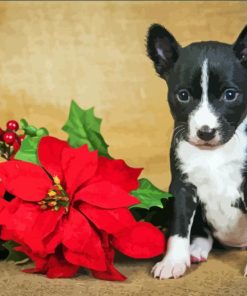 Puppy With Red Poinsettia Diamond Paintings