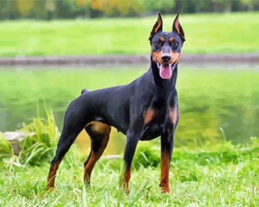 Dobermann Pinscher Dog Diamond Paintings