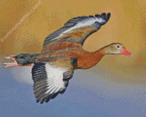 Flying Whistling Duck Diamond Paintings