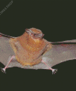 Flying Winged Bat Diamond Paintings