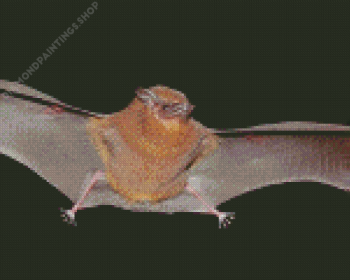 Flying Winged Bat Diamond Paintings